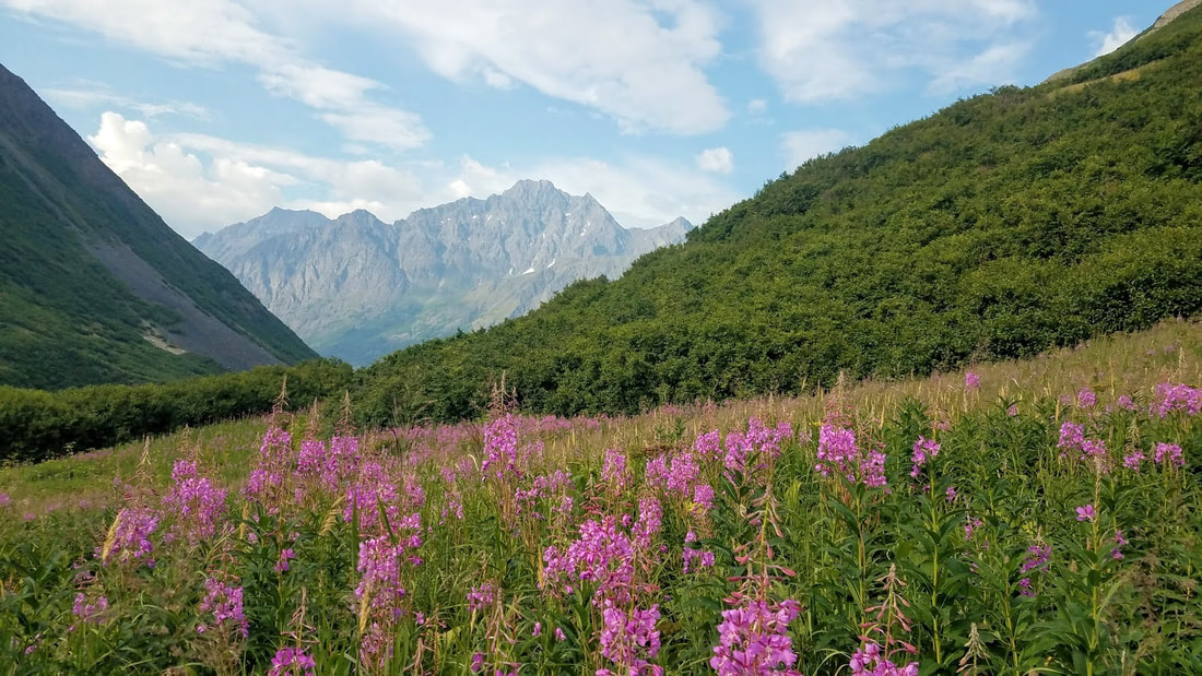 Summer on the Crow Pass Trail - By Clayton Rudiger, SCA Intern